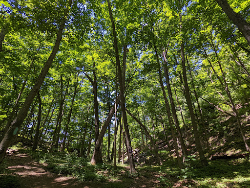 State Park «West Rock Ridge State Park», reviews and photos, 1134 Wintergreen Ave, New Haven, CT 06514, USA