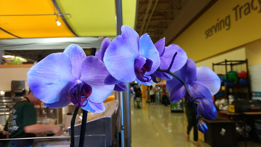 Grocery Store «Safeway», reviews and photos, 1801 W 11th St, Tracy, CA 95376, USA