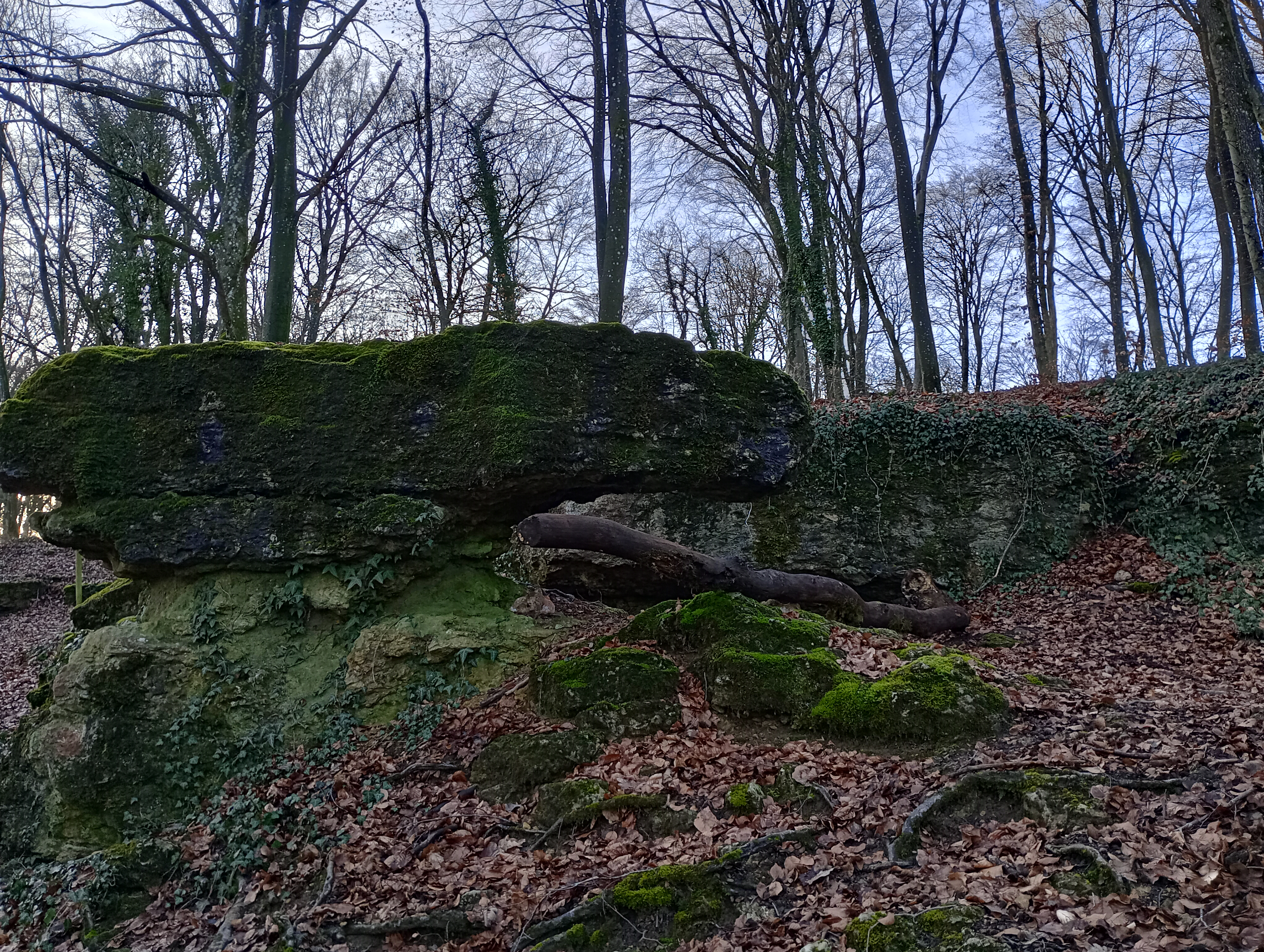 Photo n° 21 de l'avis de Phidis.a fait le 31/01/2024 à 22:31