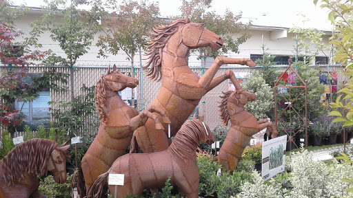 Florist «Cherry Lane Nursery», reviews and photos, 436 Traffic Way, Arroyo Grande, CA 93420, USA