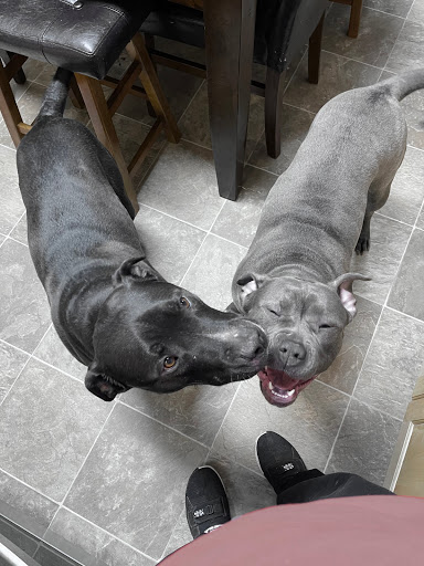 Pet Supply Store «Petco Animal Supplies», reviews and photos, 3212 16th St SW, Minot, ND 58702, USA