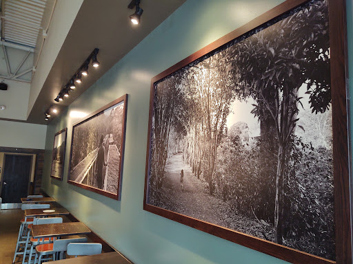 Coffee Shop «Starbucks», reviews and photos, 120 S Zeeb Rd #101, Ann Arbor, MI 48103, USA