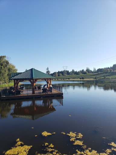 Winery «Bethany Vineyard & Winery», reviews and photos, 4115 NE 259th St, Ridgefield, WA 98642, USA