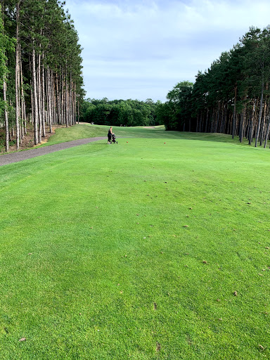 Golf Course «Glen Lake Golf Course», reviews and photos, 14350 County Rd 62, Minnetonka, MN 55345, USA