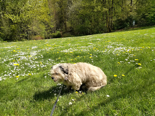 Park «Cowen Park», reviews and photos, 5849 15th Ave NE, Seattle, WA 98105, USA