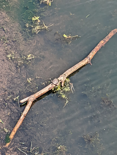 Park «Wood Park», reviews and photos, 65 Park St, Hudson, MA 01749, USA