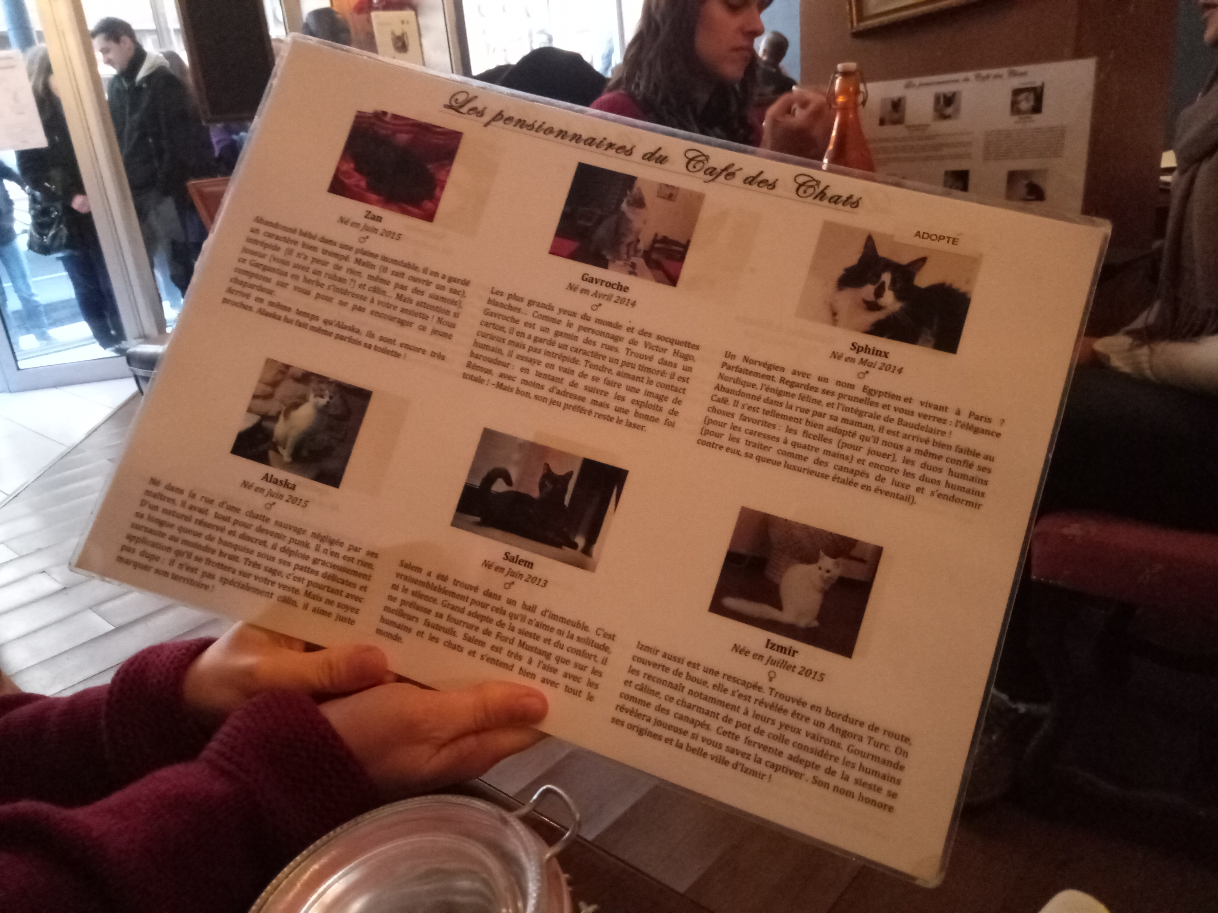 Photo n° 1 de l'avis de Camille. fait le 02/03/2018 à 08:56