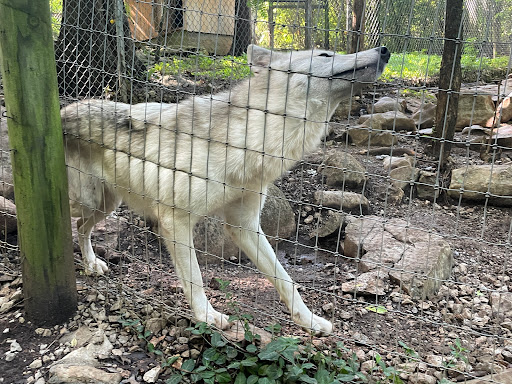 Zoo «Kentucky Down Under Adventure Zoo», reviews and photos, 3700 L and N Turnpike Rd, Horse Cave, KY 42749, USA