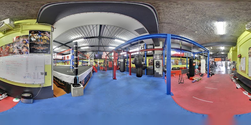 UNITED BOXING GYM