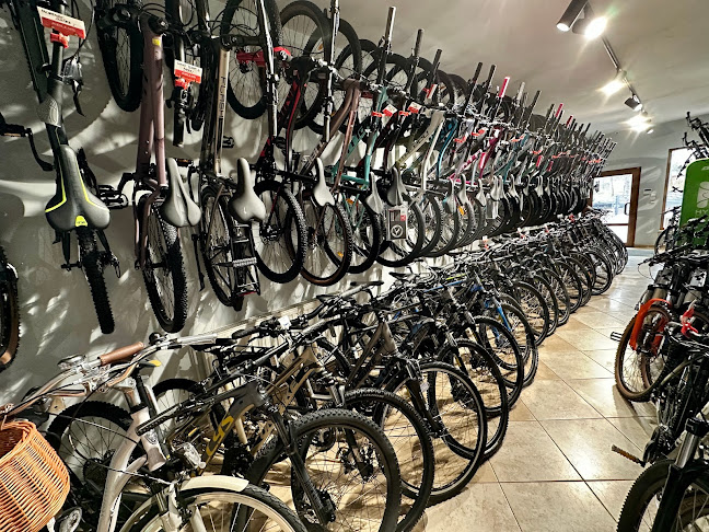 Comentarii opinii despre DIK Rowery