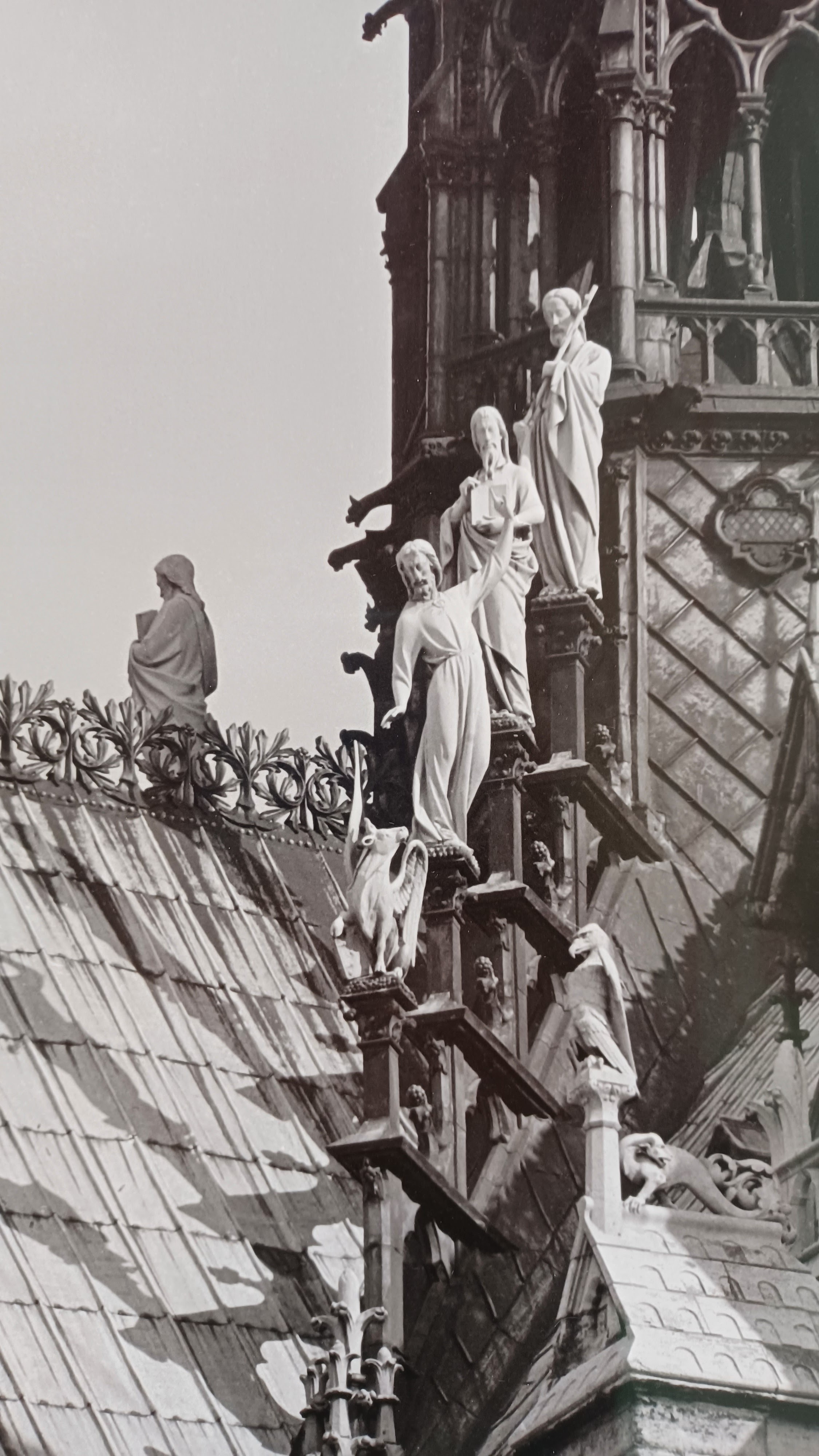 Photo n° 11 de l'avis de René.O fait le 31/03/2022 à 10:21