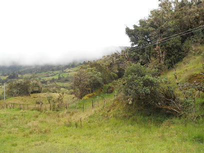 Paramo de Viracacha