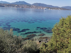 Photo de Marinca beach partie de la zone de l'hôtel