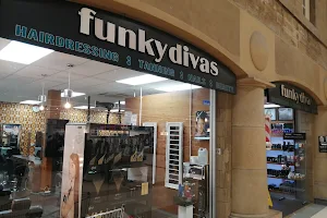 Funky Divas Salons Hillsborough image