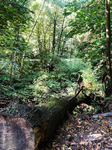 Park «Seahurst Park», reviews and photos, 1600 SW Seahurst Park Rd, Burien, WA 98166, USA