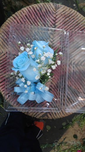 Florist «Blossom Shoppe», reviews and photos, 102 E Washington St, Princeton, KY 42445, USA