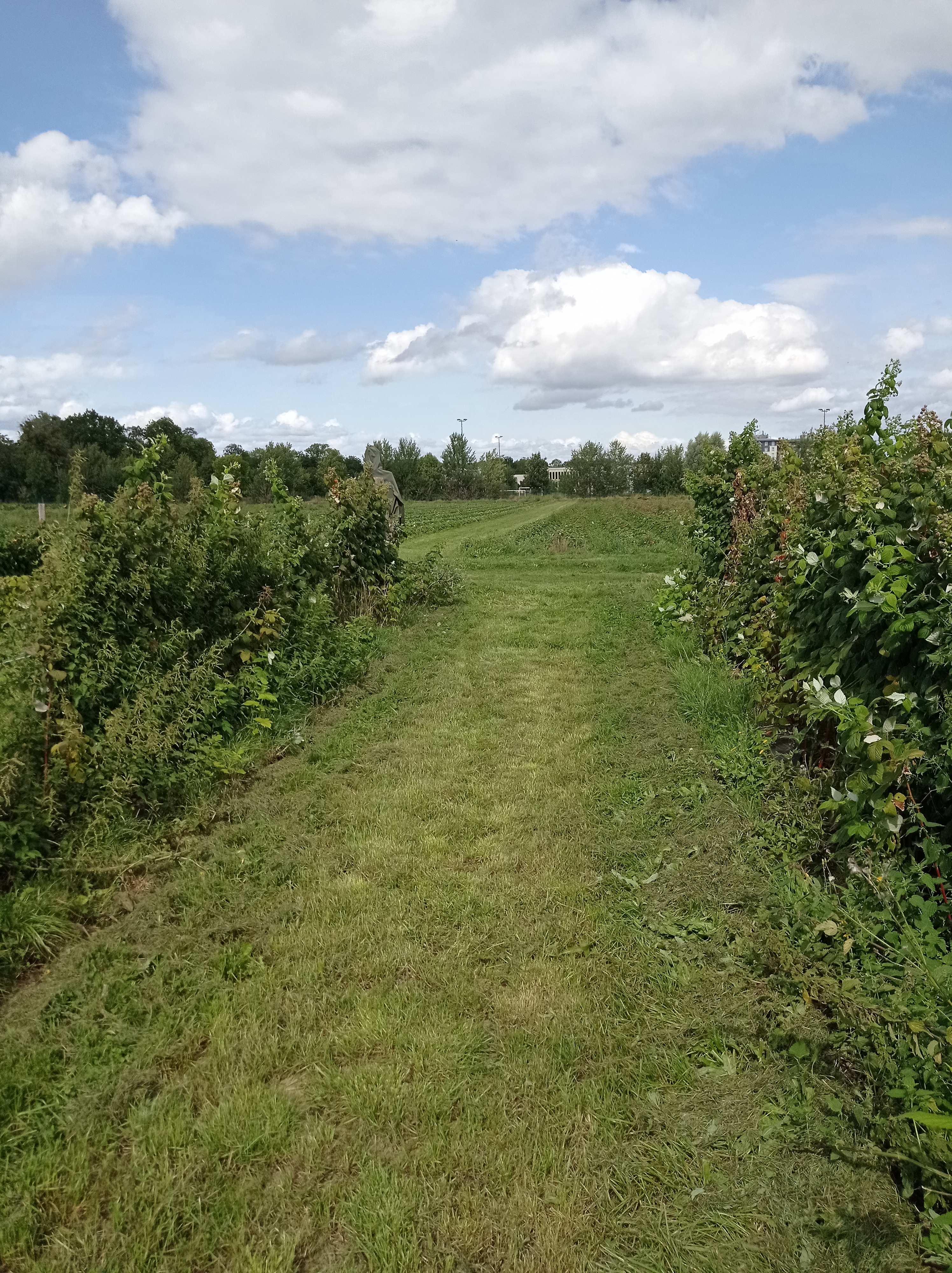 Photo n° 6 de l'avis de alexandre.u fait le 27/08/2023 à 13:21