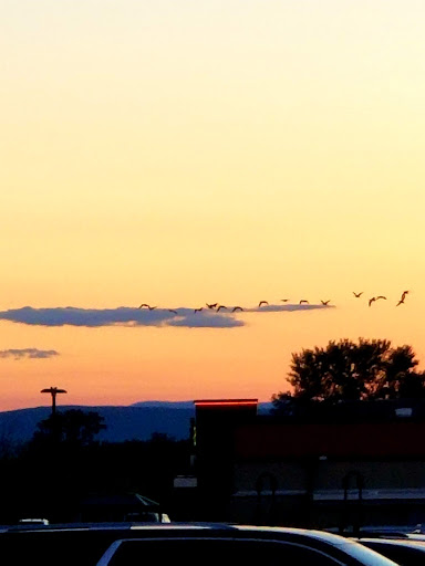 Department Store «HomeGoods», reviews and photos, 664 New Loudon Rd, Latham, NY 12110, USA