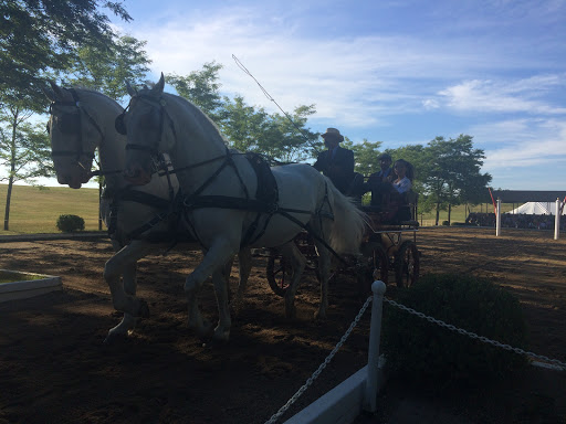 Tourist Attraction «The Tempel Lipizzans», reviews and photos, 17000 W Wadsworth Rd, Old Mill Creek, IL 60083, USA