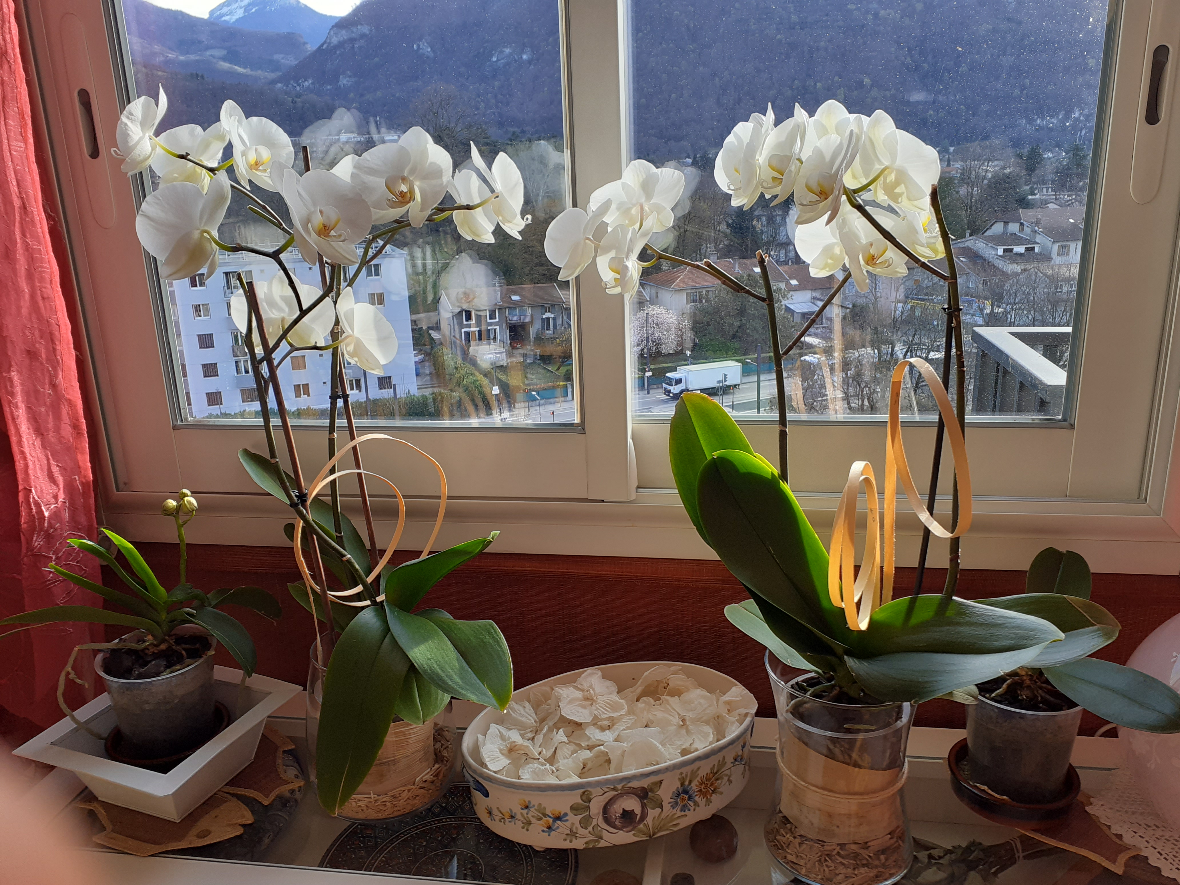 Photo n° 1 de l'avis de Marie-Annick.o fait le 26/03/2022 à 14:42
