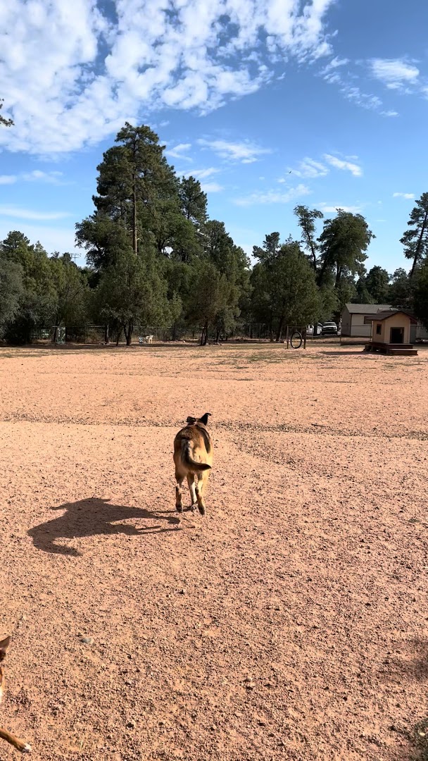 Rumsey Park Dog Park