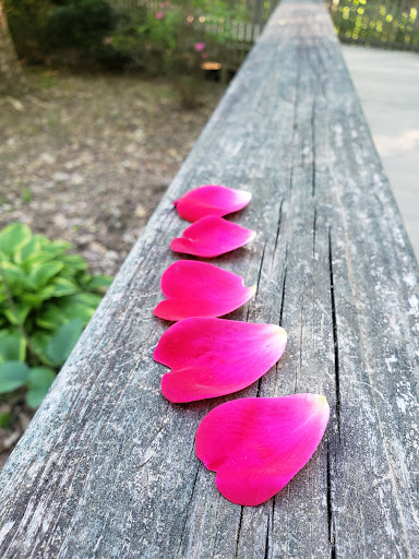 Park «East Cobb Park», reviews and photos, 3322 Roswell Rd, Marietta, GA 30068, USA