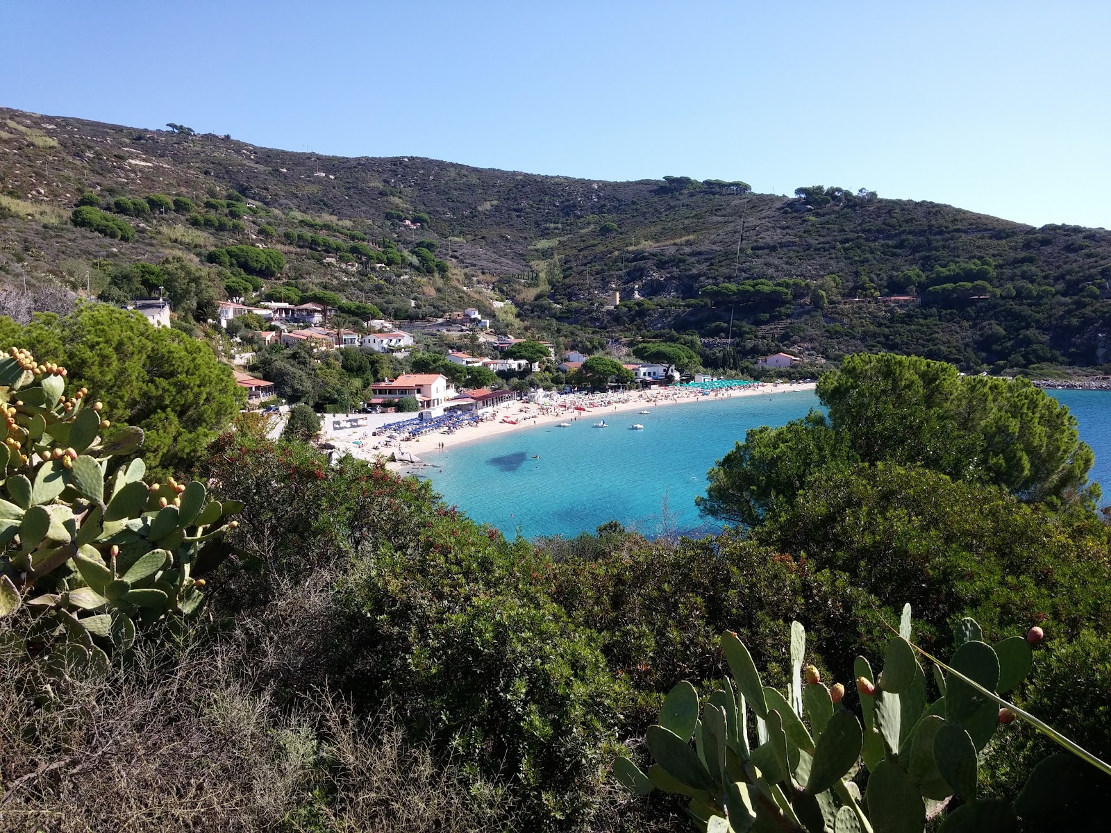 Photo of Cavoli Beach - popular place among relax connoisseurs
