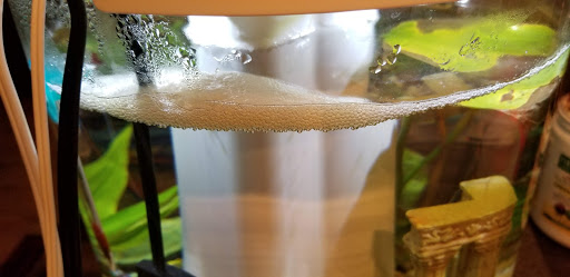 Pet Supply Store «Pet Supermarket», reviews and photos, 2649 E Gulf to Lake Hwy, Inverness, FL 34452, USA