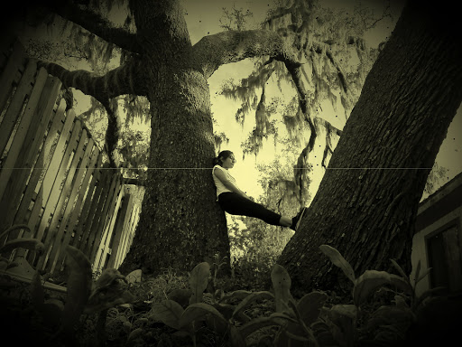 Park «Lincoln Avenue Community Park», reviews and photos, 1200 N Unser St, Mt Dora, FL 32757, USA