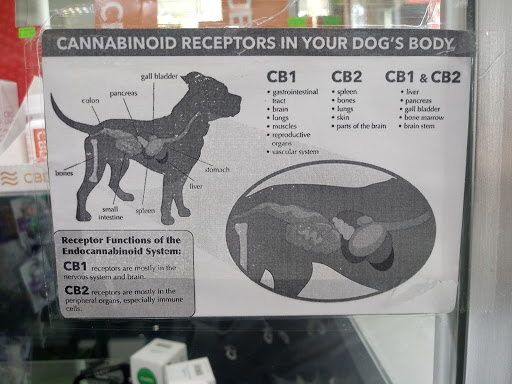 Variety Store «F5 Variety Store», reviews and photos, 1401 Union Blvd, Allentown, PA 18109, USA