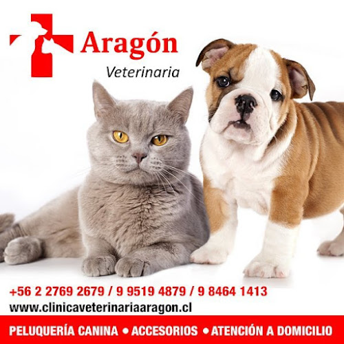 Clínica veterinaria Aragón Peluquería canina Y Felina - La Serena