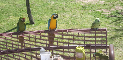 Park «Discovery Park», reviews and photos, 2214 E Pecos Rd, Gilbert, AZ 85297, USA