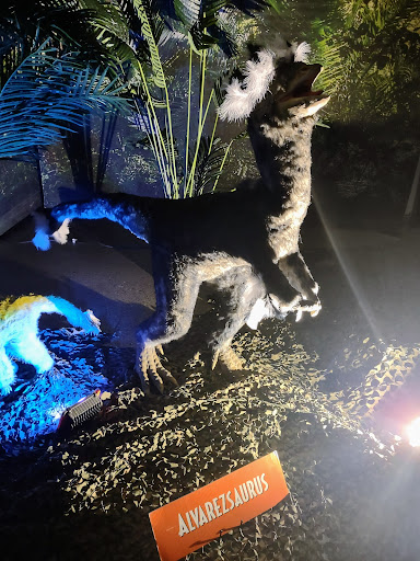 Ice Skating Rink «Dort Federal Credit Union Event Center», reviews and photos