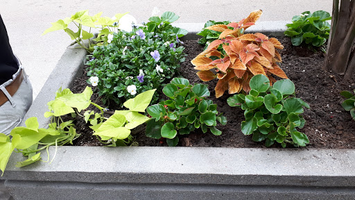  «Chrysler Building», reviews and photos, 405 Lexington Ave, New York, NY 10174, USA