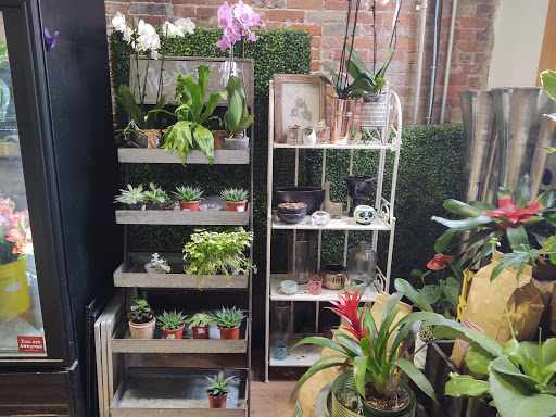 Florist «The Urban Orchid», reviews and photos, 1455 W 29th St, Cleveland, OH 44113, USA