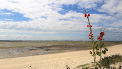 Photo de Grouin beach situé dans une zone naturelle