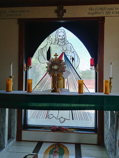 The Apostolate of Divine Mercy in Service of Life, Marriage, and the Family