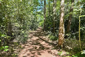 Goois Natuurreservaat Bussums Bloei image