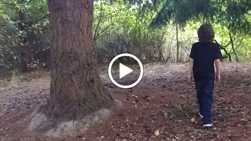 Nature Preserve «Beaverton Creek Wetlands Natural Area», reviews and photos, SW 153rd Dr, Beaverton, OR 97006, USA