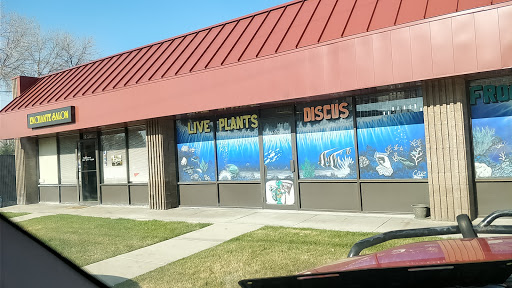 Pet Store «Fish 4 U», reviews and photos, 4010 Highland Dr #1, Millcreek, UT 84124, USA
