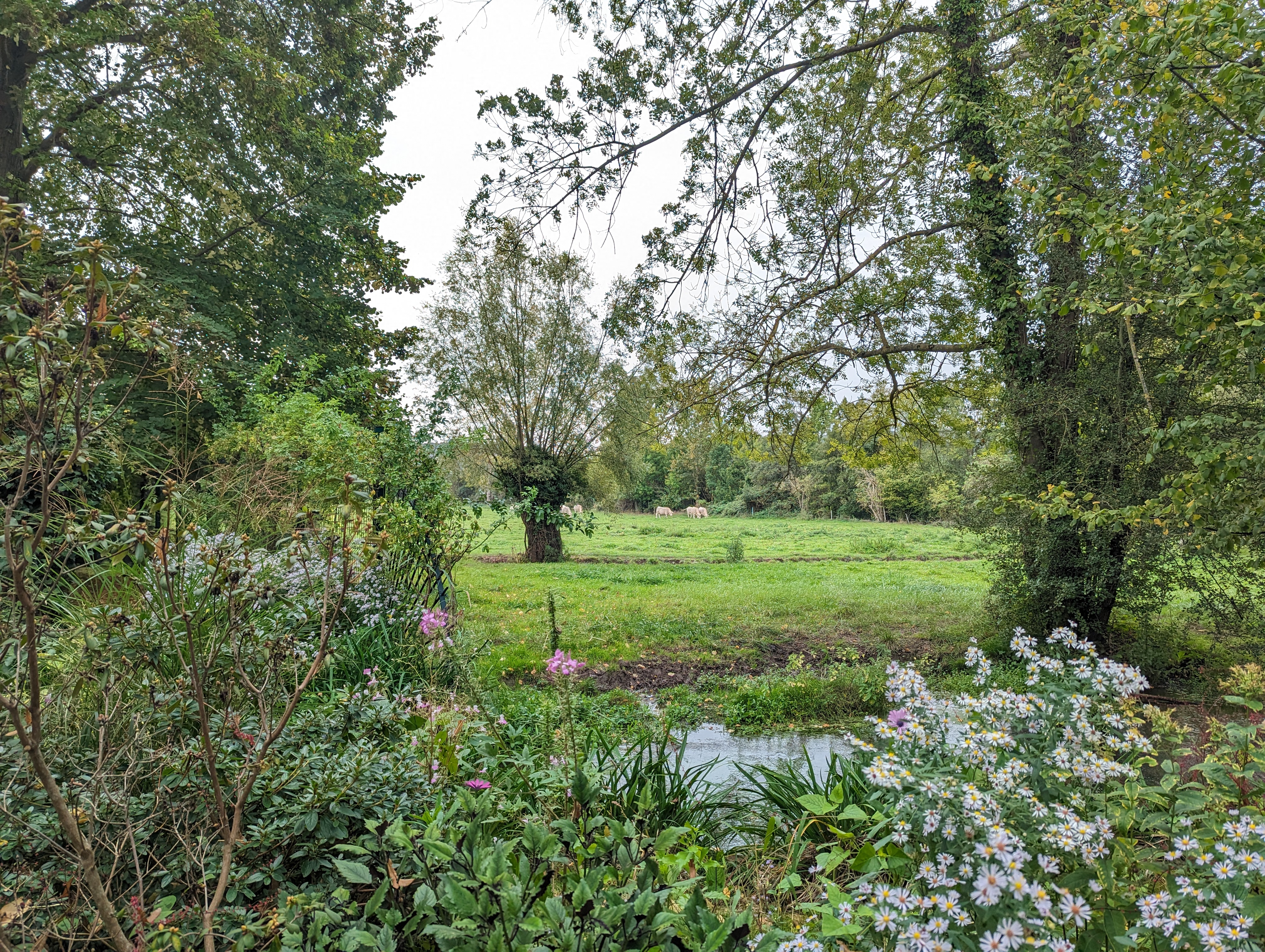 Photo n° 10 de l'avis de Salima.l fait le 05/11/2023 à 22:12