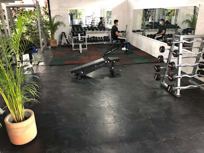 Master GYM - C. José María Morelos 326, 72680 San Francisco Ocotlán, Pue., Mexico