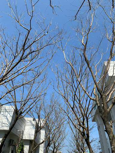 Top 10 cửa hàng đồ gỗ Huyện Đảo Cồn cỏ Quảng Trị 2022