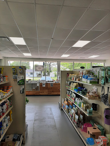 Critters and Crickets