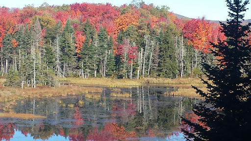 National Forest «Green Mountain and Finger Lakes National Forests», reviews and photos, 231 N Main St, Rutland, VT 05701, USA