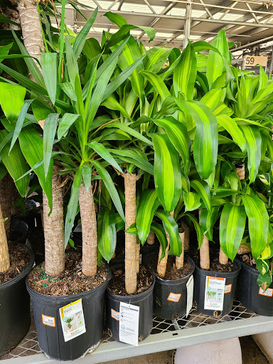 Home Improvement Store «The Home Depot», reviews and photos, 3373 Ronald McNair Way, Titusville, FL 32780, USA