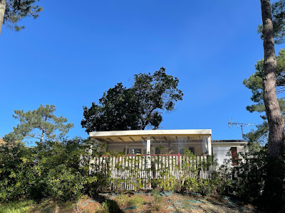 Location maison bungalow mimosas lege cap-ferret à Lège-Cap-Ferret