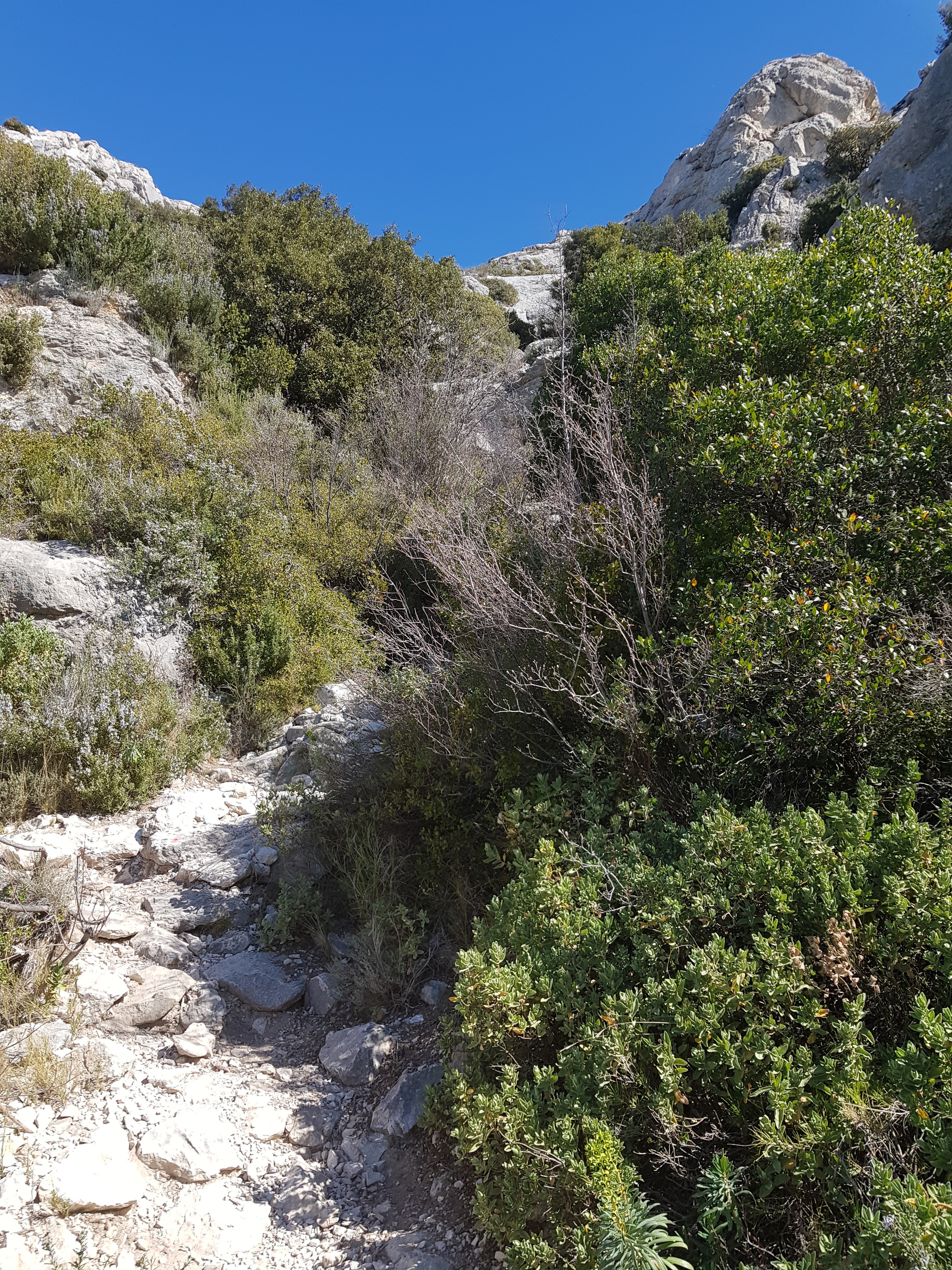 Photo n° 3 de l'avis de Florian.a fait le 27/03/2019 à 15:18