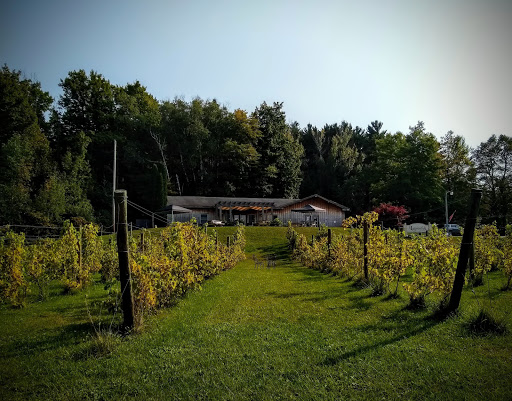 Winery «Laurentide Winery», reviews and photos, 56 S French Rd, Lake Leelanau, MI 49653, USA