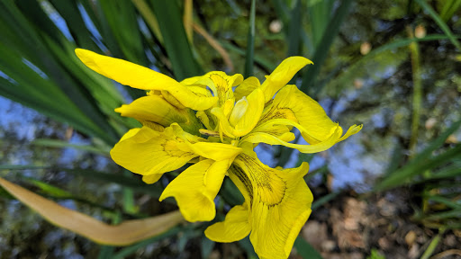 Park «Hart`s Brook Park and Preserve», reviews and photos, 156 Ridge Rd, Hartsdale, NY 10530, USA